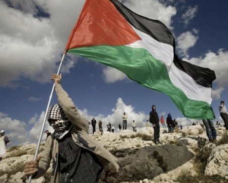 القاهرة: فلسطين تشارك في اجتماع اللجنة الاجتماعية التحضيري للدورة الوزارية للمجلس الاقتصادي