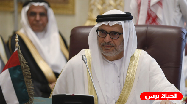 قرقاش يعلق على المظاهرات في مصر