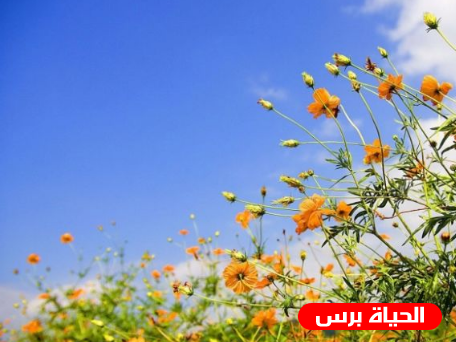 الطقس: درجات الحرارة حول معدلها السنوي العام