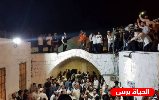 الخارجية: تصعيد اعتداءات المستوطنين ترجمة عملية لخطة بينت الاستعمارية