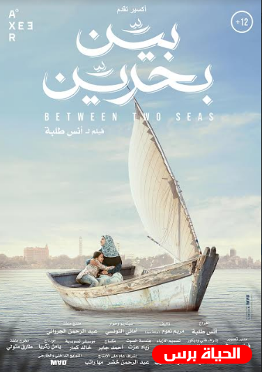 MAD Solutions تشارك بأربعة أفلام في مهرجان ارهوس للفيلم العربي بالدنمارك