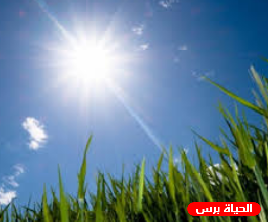 طقس فلسطين اليوم الجمعة : ارتفاع طفيف على درجات الحرارة