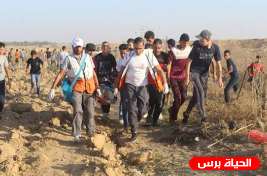 مركز حقوقي : استشهاد مواطن وإصابة (86) مدنيًّا فلسطينيًّا في قطاع غزة