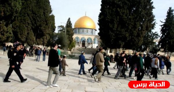مستوطنون يستأنفون اقتحاماتهم للأقصى