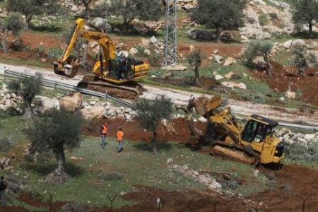 Israeli bulldozers uproot olive trees west of Bethlehem