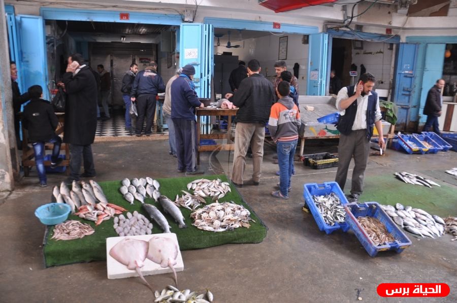 أسعار الأسماك اليوم الخميس
