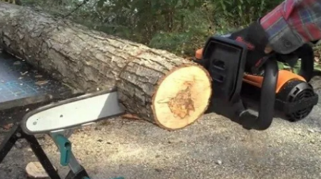 سلوفينيا : سيدة تقطع يدها بمنشار للحصول على مليون يورو !!