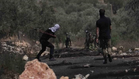 Journalist among three Palestinians injured in Kafr Qaddum