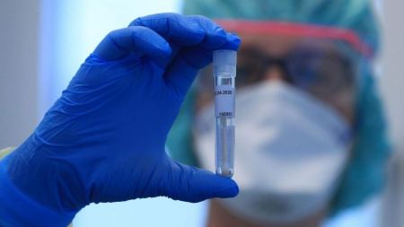 Palestine records 503 coronavirus cases, 10 fatalities