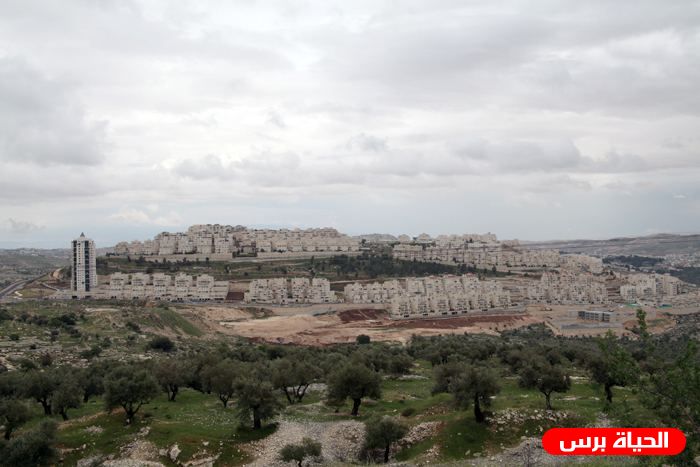 الاحتلال يخطط لزيادة عدد المستوطنين في جبل أبو غنيم