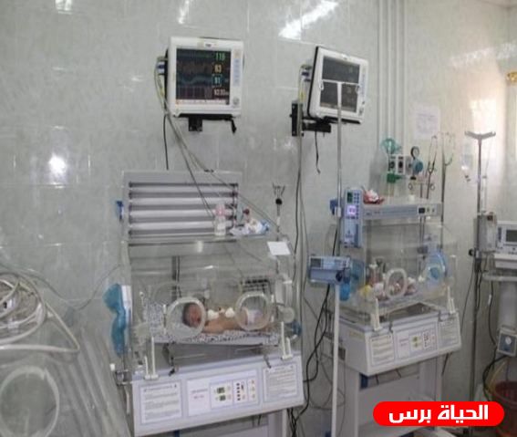 قطاع غزة يسجل 5145 مولوداً جديداً و388 وفاة خلال أغسطس