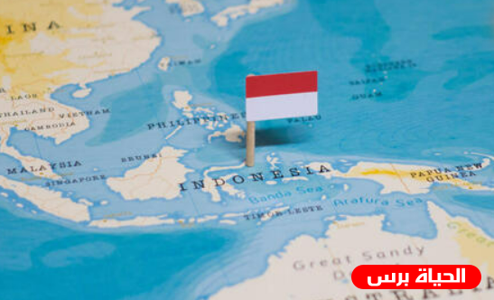 وفدان باكستاني وإندونيسي يزوران 