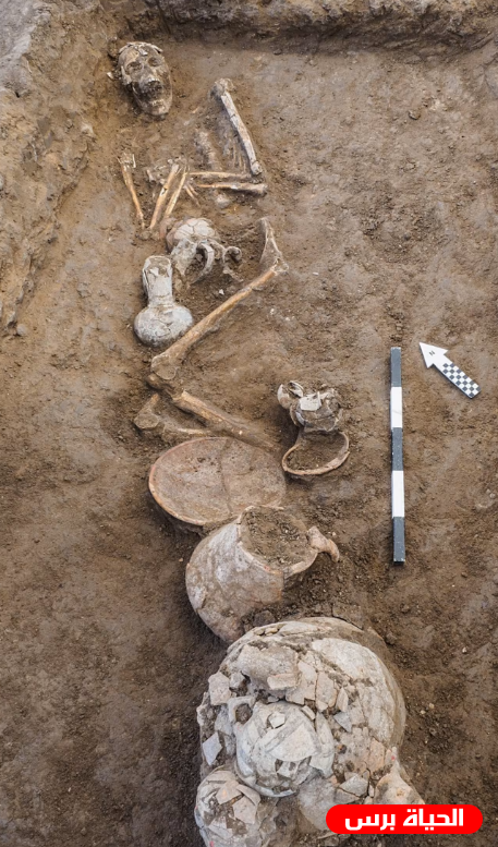 مقبرة كنعانية تكشف .. الكنعانيون أول من إستخدم الأفيون والمواد المهلوسة في العالم