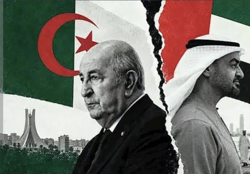 الجزائر والإمارات.. قرار جديد يزيد التوتر بين البلدين