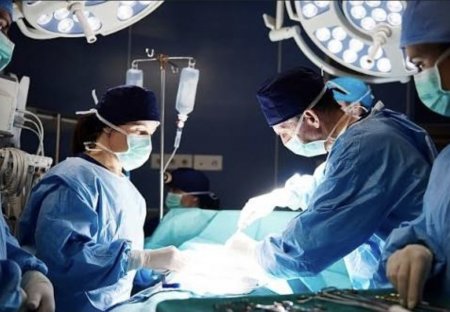 أطباء يقتربون من تغيير قواعد زراعة الأعضاء.. تقنية جديدة قد تقلل أدوية منع الرفض لسنوات