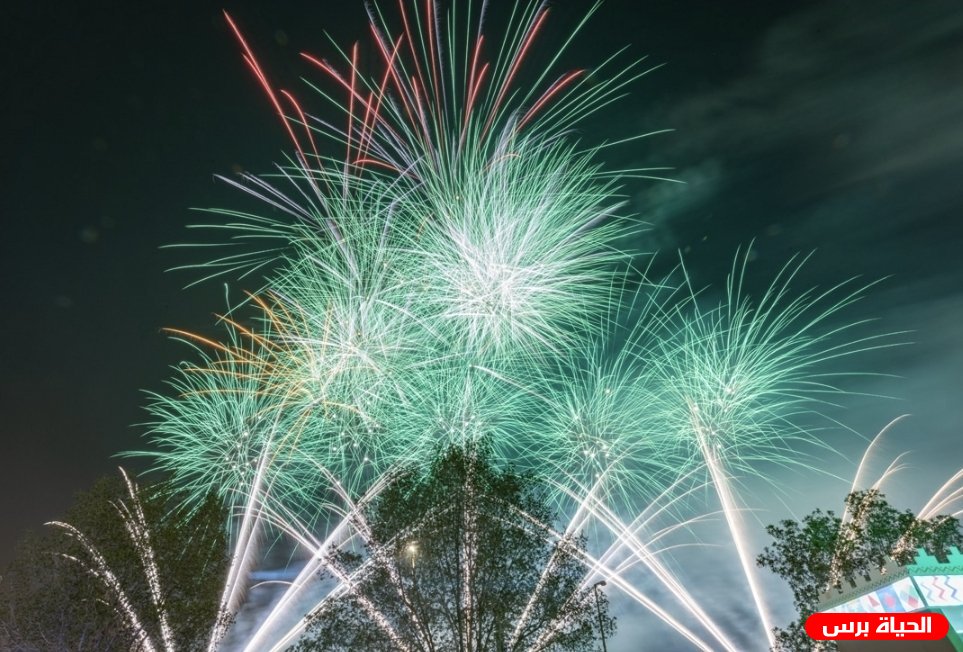 العيد الوطني السعودي 2026.. السعودية تحتفل باليوم الوطني الـ96 بعروض وفعاليات في مختلف المدن
