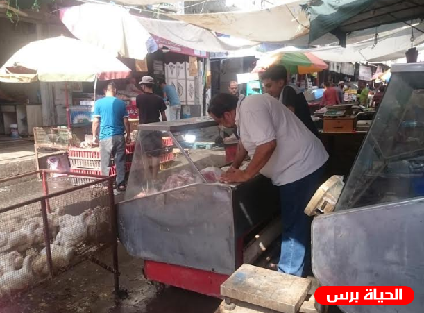 مراقبة الأغذية في بلدية غزة يكثف جهوده على محلات بيع الدواجن الطازج