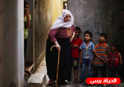 الاحصاء : 5% من السكان في فلسطين في العمر 60 سنة فأكثر