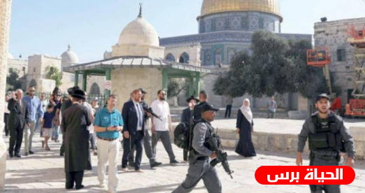 117 مستوطنا يقتحمون الأقصى وينفذون جولات استفزازية في باحاته