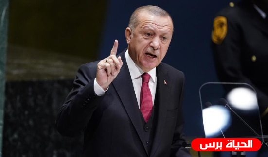 أردوغان : يمكننا دخول سوريا في أي ليلة كما نريد