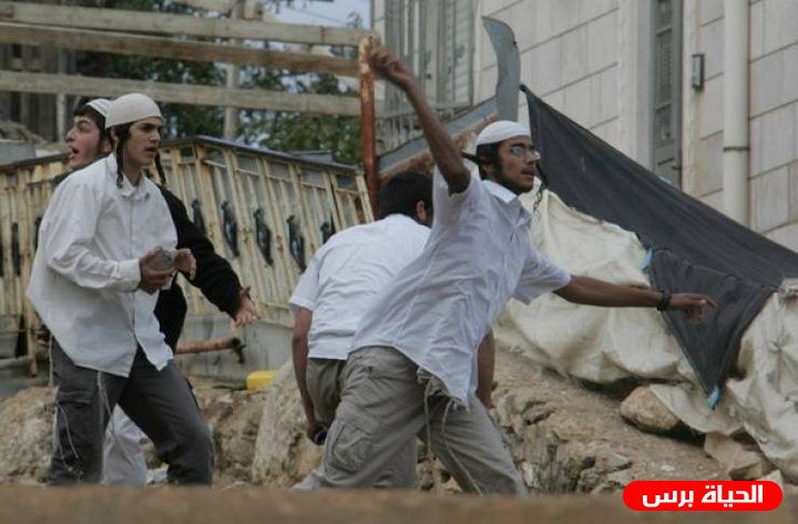 مستوطنون يرشقون منازل المواطنين بالحجارة في كفل حارس
