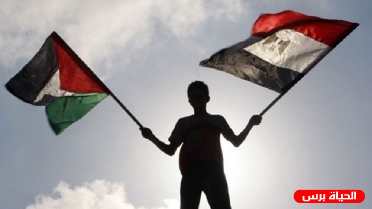 القاهرة: مؤتمر 