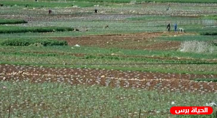 الاحتلال يخطر بالاستيلاء على 409 دونمات من أراضي منطقة يعبد