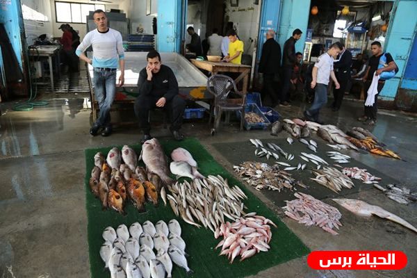 اسعار السماك في اسواق قطاع غزة 30/10/2019