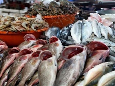 اسعار الاسماك اليوم الاثنين 26/10/2020