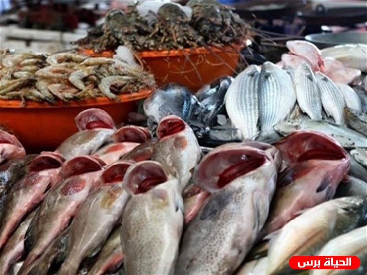 اسعار الاسماك اليوم الاثنين 26/10/2020