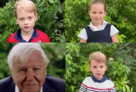 Illustrious youngsters ask David Attenborough their temperament inquiries as his 'significant' Netflix narrative shows up 