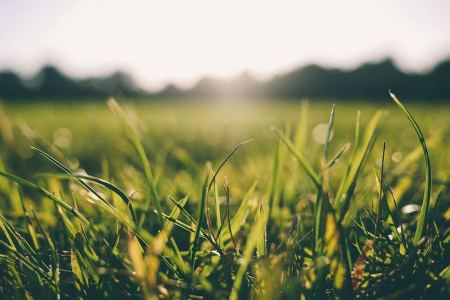 Weather: Partially cloudy, mild conditions 