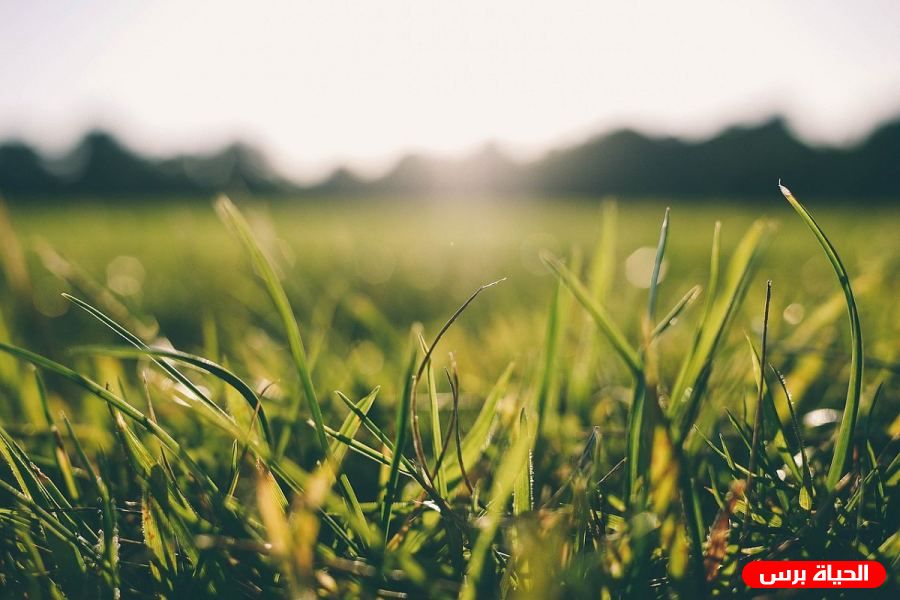 Weather: Partially cloudy, mild conditions 