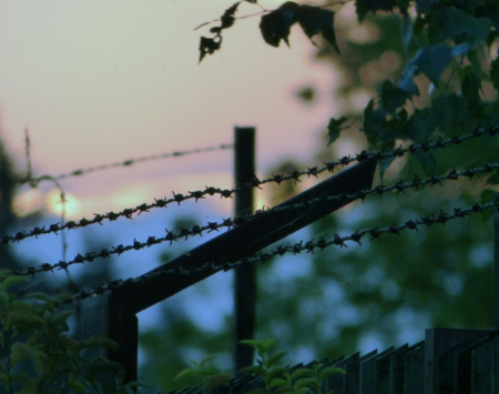 مع إستمرار إضراب الأسير الأخرس تعرف على أعداد الأسرى في سجون الإحتلال