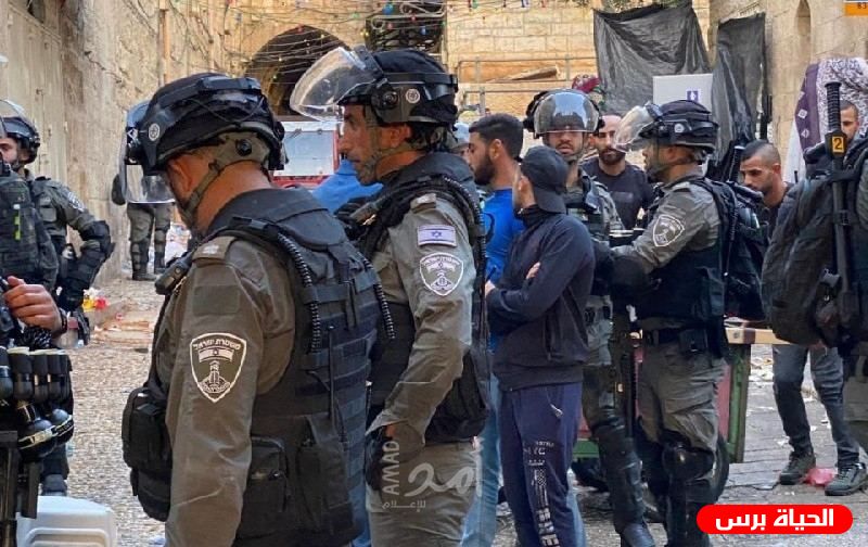 الاحتلال يعتقل 3 شبان من قلقيلية أثناء وجودهم في باحات المسجد الأقصى