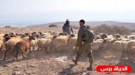  الاحتلال يعتقل راعي أغنام بدعوى اجتيازه الحدود اللبنانية