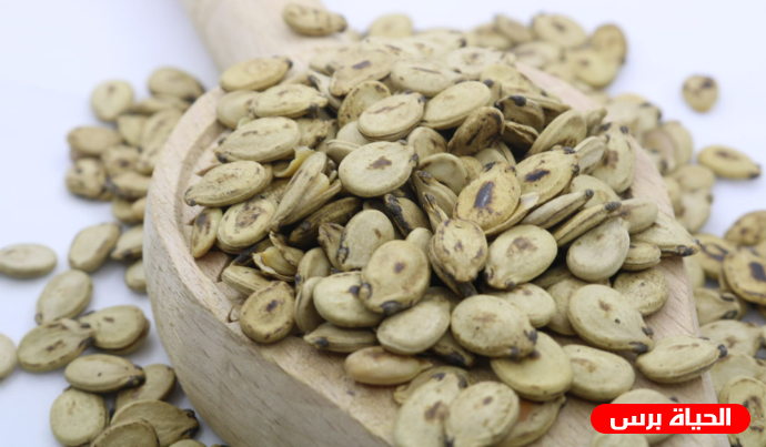 فوائد بزر البطيخ