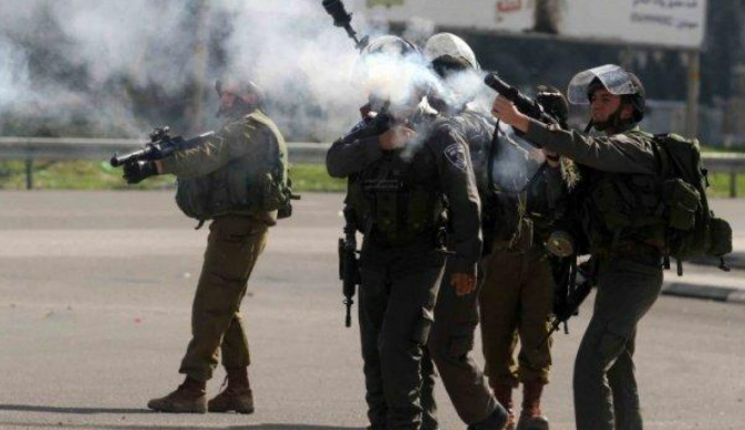 إصابة عدد من طلبة تقوع بالاختناق جراء اطلاق الاحتلال قنابل الغاز في محيط مدرستهم