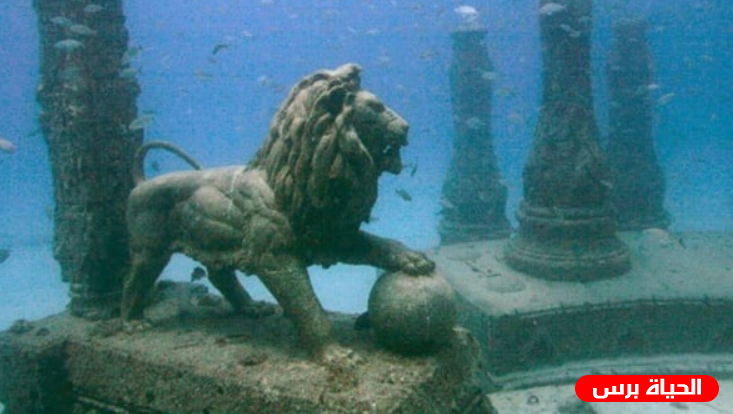 صورة أسد تحت الماء يثير الجدل حول علاقته بالملكة كليوباترا والدوري الانجليزي
