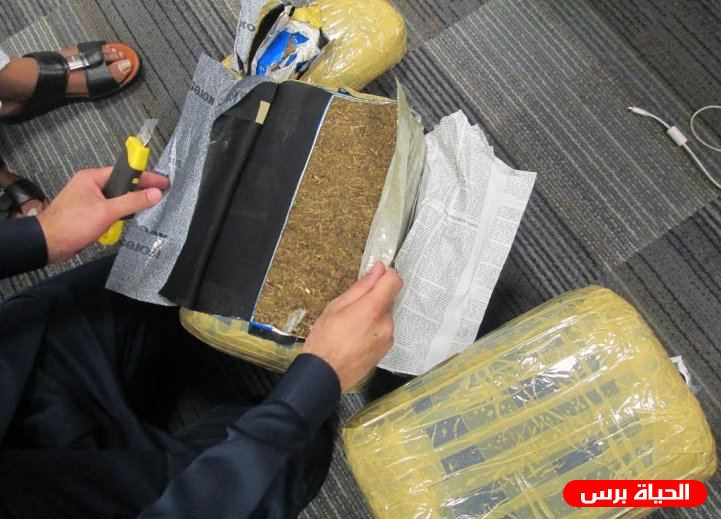 وقائي أريحا يضبط 3 أطنان من المارجوانا بقيمة 15 مليون شيقل 