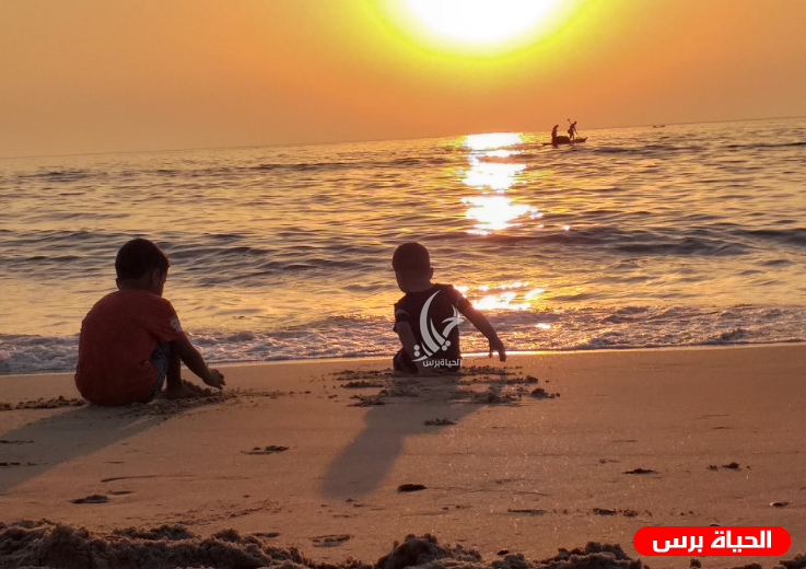 طقس فلسطين اليوم : الحرارة أعلى من معدلها بـ 6 درجات