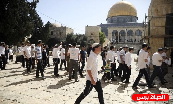 103 مستوطنين و87 طالبا يهوديا يقتحمون الأقصى