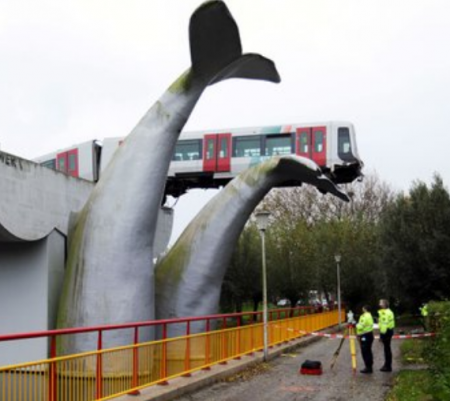 ذيل حوت ينقذ ركاب قطار في هولندا