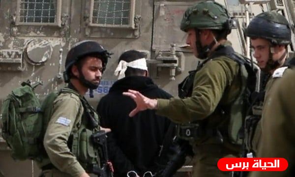 الاحتلال يعتقل الشاب موسي سلامة من عناتا