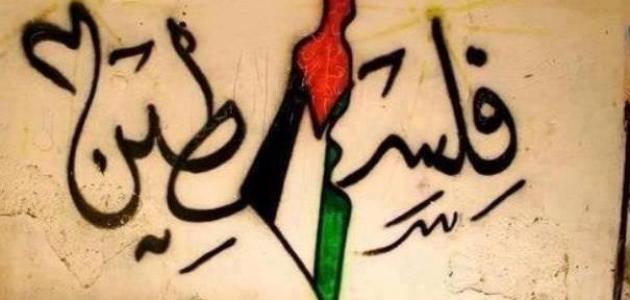 العقيد طاهر دبلان، صفحات مطوية من التاريخ الكفاحي الفلسطيني .. الكاتب: علي بدوان