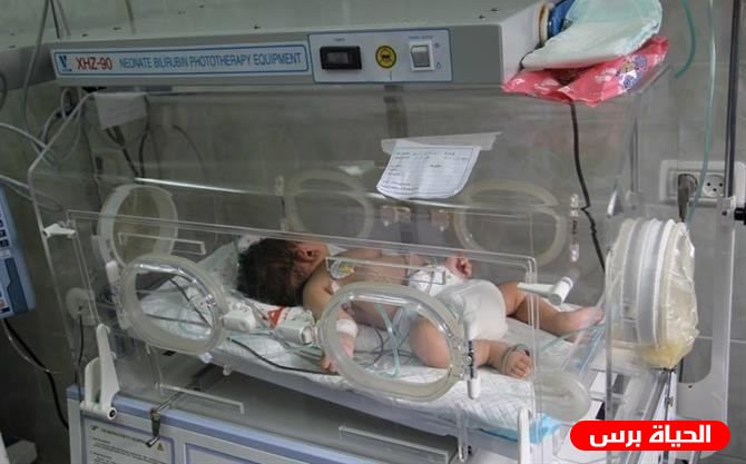 حصيلة مواليد ووفيات قطاع غزة خلال اكتوبر 2021