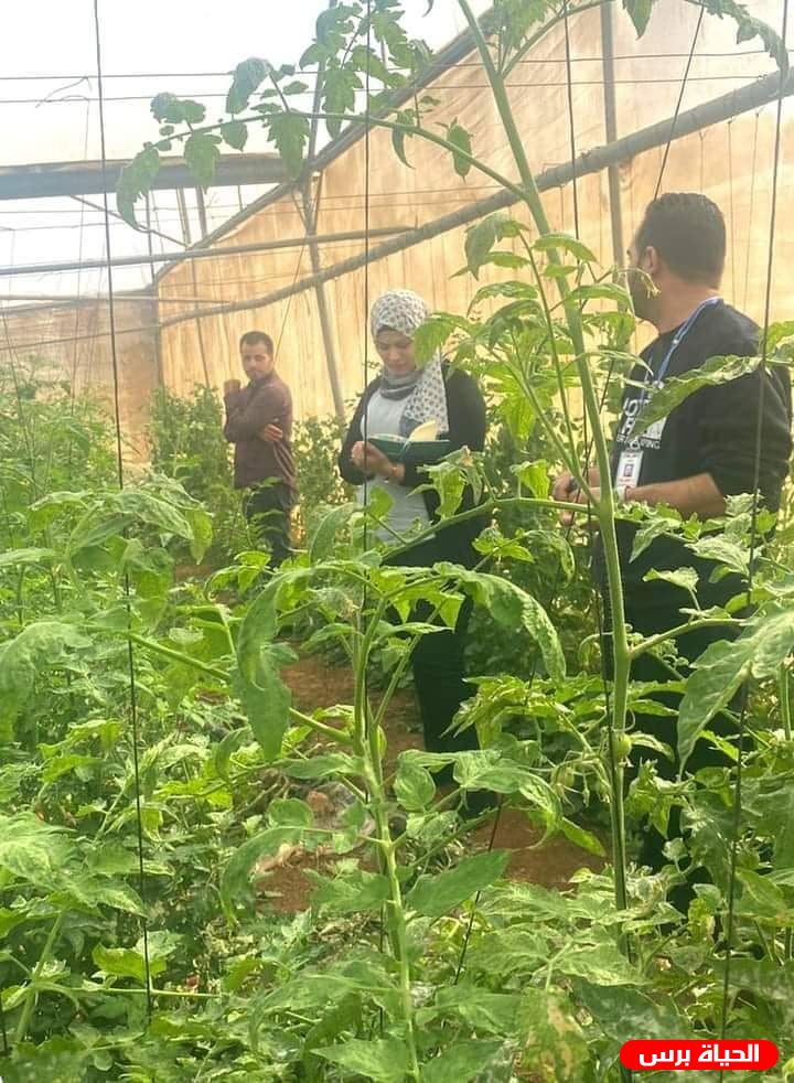 تنمية طوباس تتفقد مشاريع التمكين التي رأسها النساء