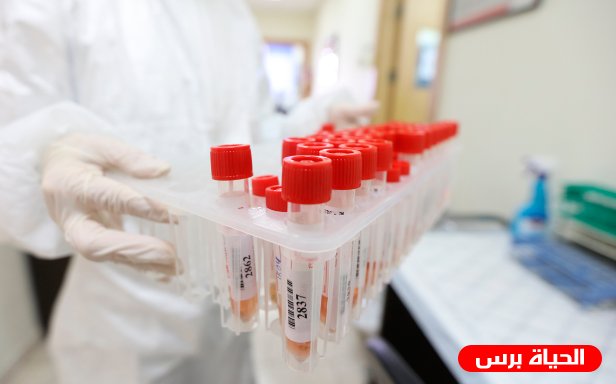 فلسطين: 4 وفيات و221 إصابة جديدة بفيروس كورونا و319 حالة تعاف