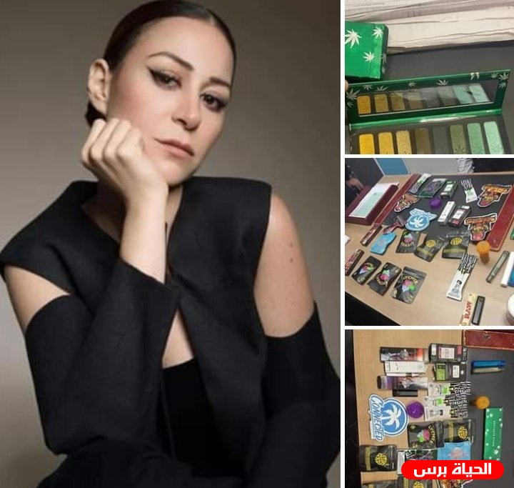 تفاصيل قضية منة شلبي والمضبوطات بحوزتها