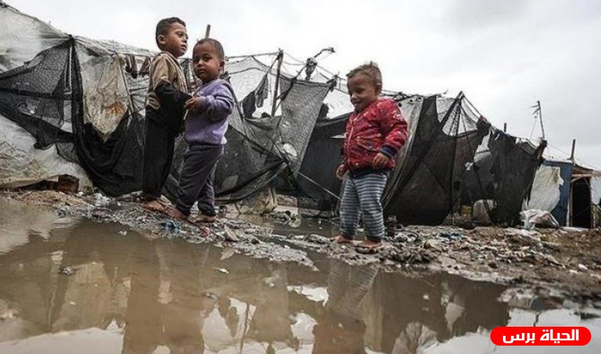 الدفاع المدني في رفح يحذر من كارثة إنسانية مع اقتراب المنخفضات الجوية